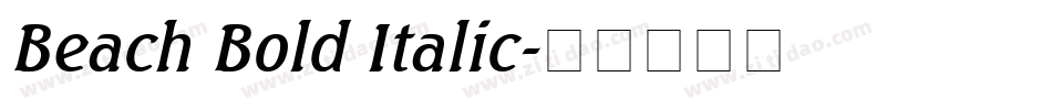 Beach Bold Italic字体转换